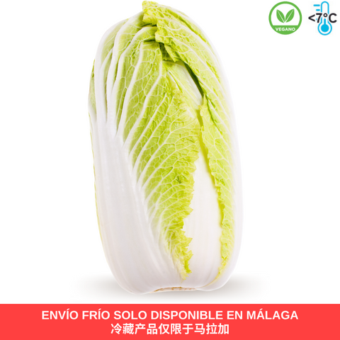 Fresh Chinese Cabbage 1 unit