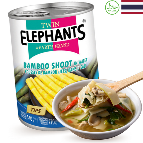 TE&E Bamboo Bamboo Shoots (tips) in Water 540g